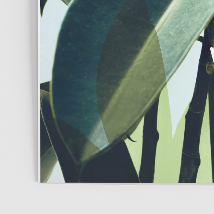 Simpatico Poster Gallery Image 3