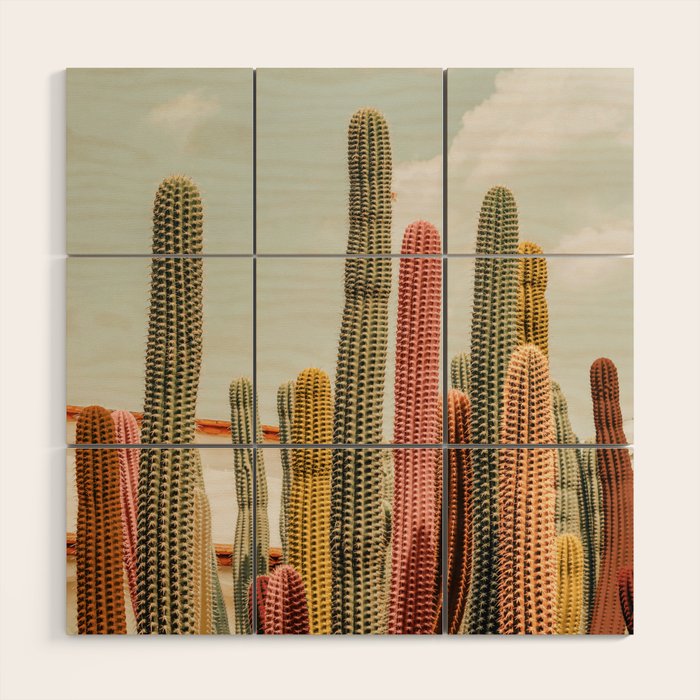 Desert tones Wood Wall Art Gallery Image 1