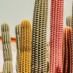 Desert tones Coffee Mug Gallery Image 2