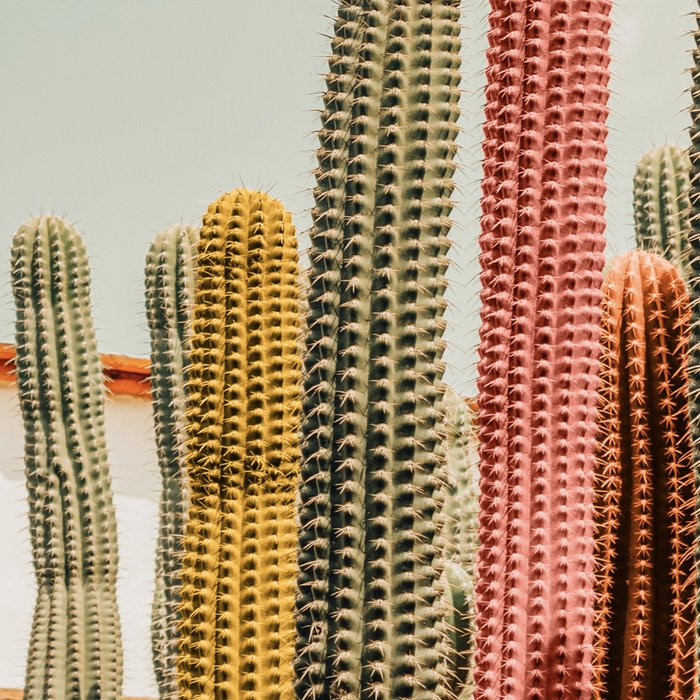 Desert tones Coffee Mug Gallery Image 2