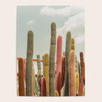 Desert tones Poster Gallery Image 4