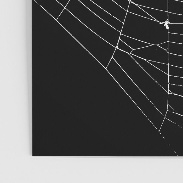 Spiders Web Poster Gallery Image 3