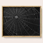 Spiders Web Serving Tray Gallery Image 1