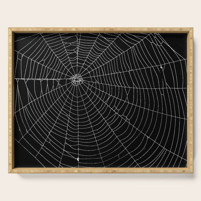 Spiders Web Serving Tray Gallery Image 1