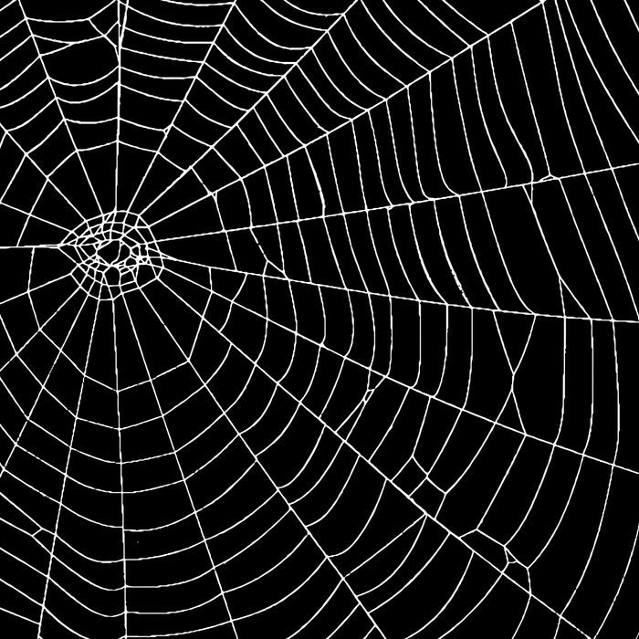 Spiders Web Coffee Mug Gallery Image 2