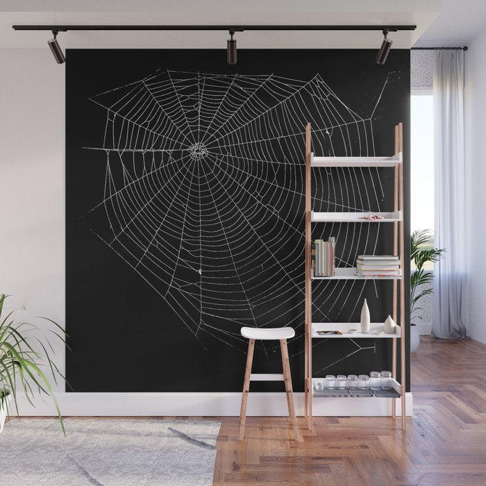 Spiders Web Wall Mural Gallery Image 1