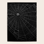 Spiders Web Poster Gallery Image 4