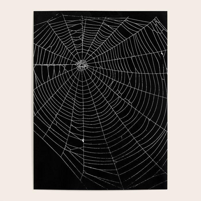 Spiders Web Poster Gallery Image 4