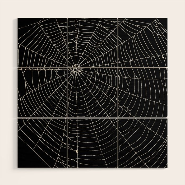 Spiders Web Wood Wall Art Gallery Image 1