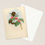 Rufous-breasted Hermit Hummingbird by John Gould, 1861 (benefitting the Nature Conservancy) Stationery Card Gallery Image 2