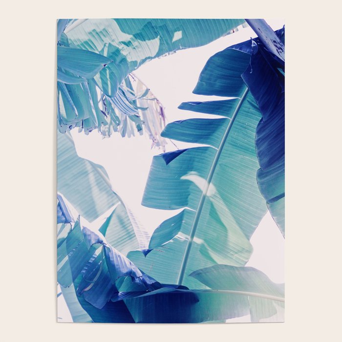 Banana Leaf Blue Poster Gallery Image 1