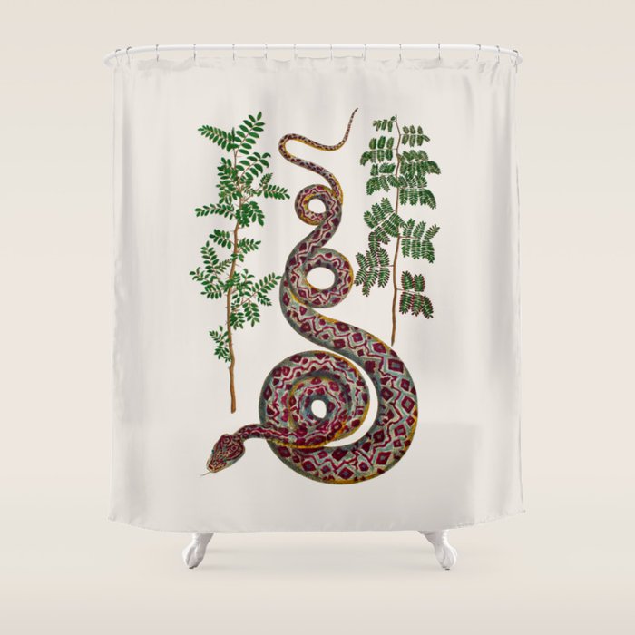 Mimosa Snake Seba Albertus Shower Curtain Gallery Image 1