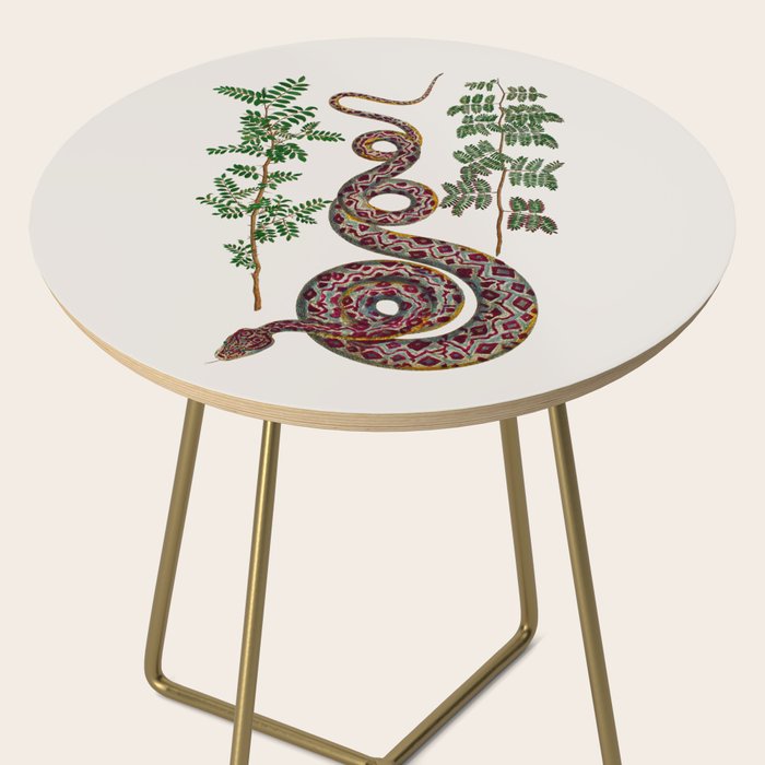 Mimosa Snake Seba Albertus Side Table Gallery Image 2