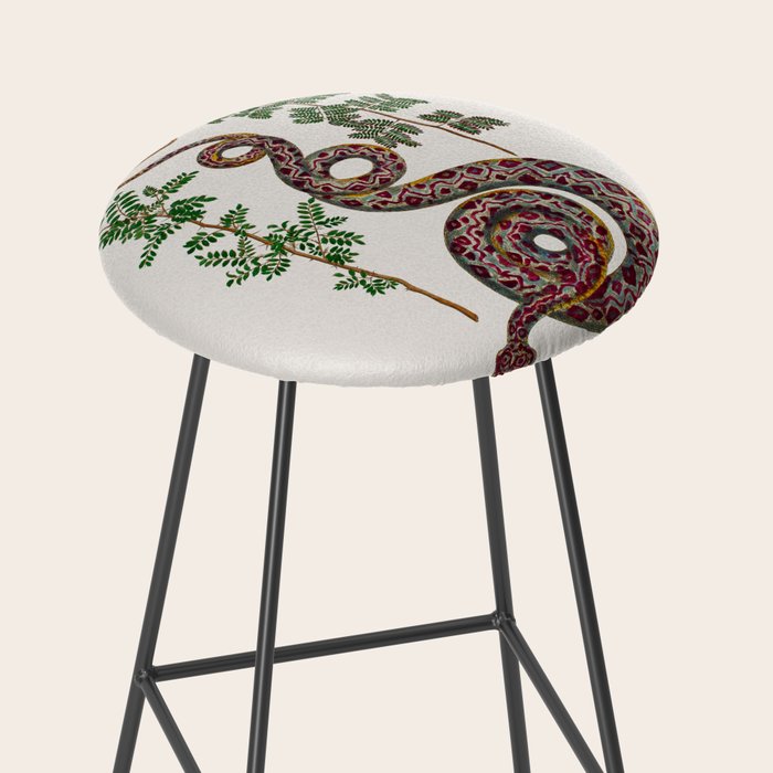 Mimosa Snake Seba Albertus Stool Gallery Image 2