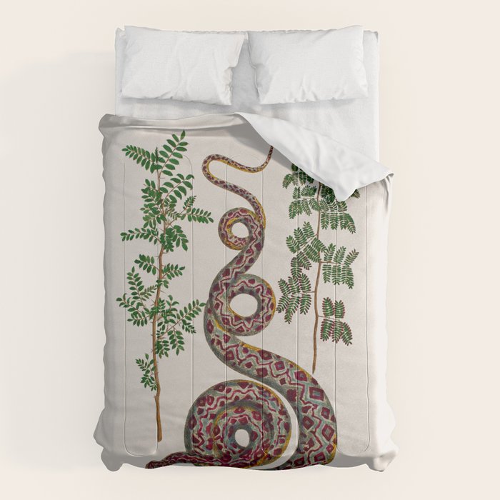 Mimosa Snake Seba Albertus Comforter Gallery Image 6