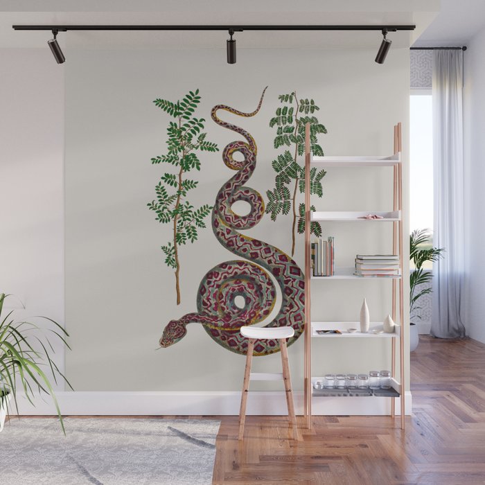Mimosa Snake Seba Albertus Wall Mural Gallery Image 1