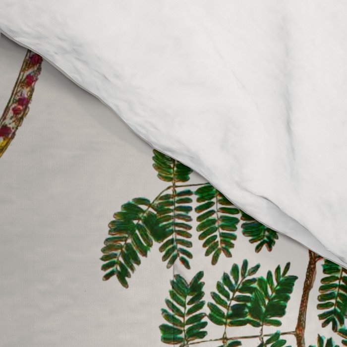 Mimosa Snake Seba Albertus Comforter Gallery Image 4