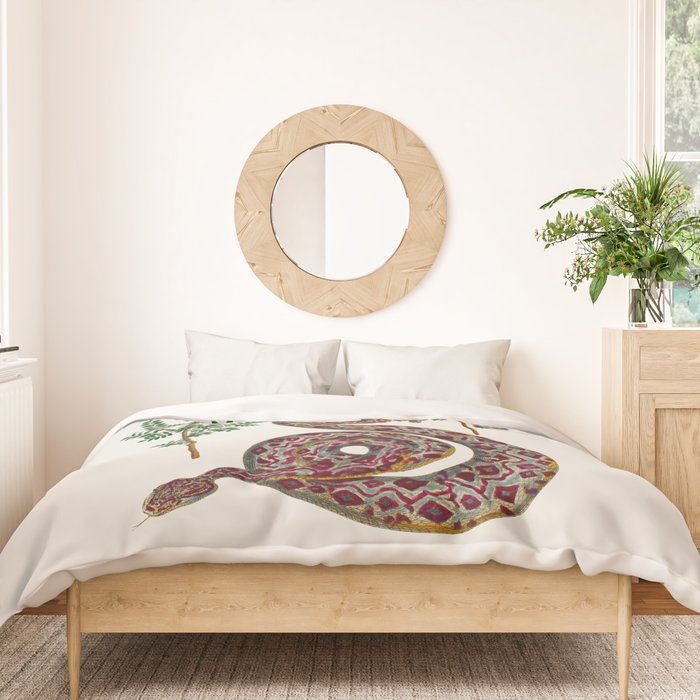 Mimosa Snake Seba Albertus Duvet Cover Gallery Image 3