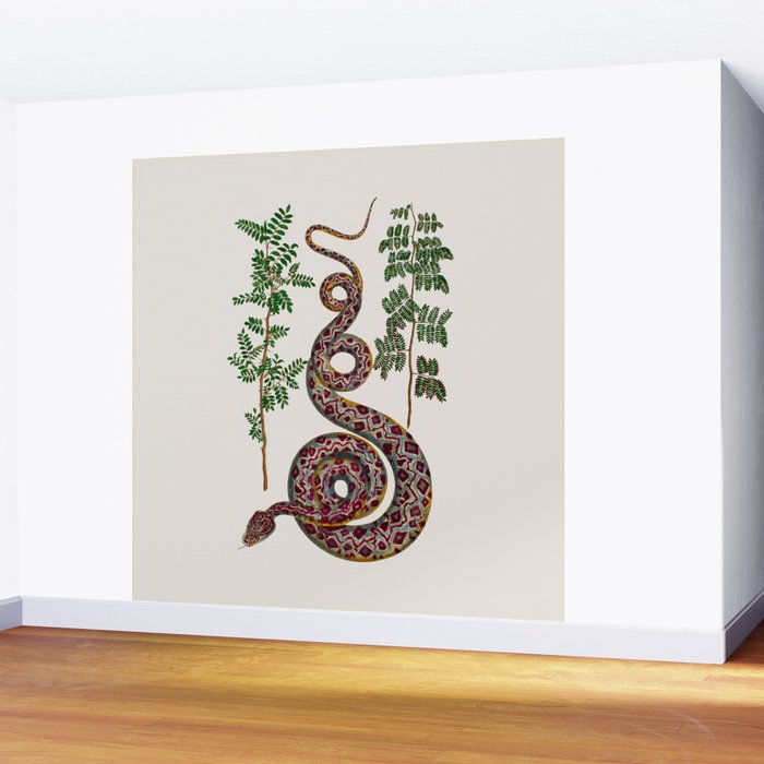 Mimosa Snake Seba Albertus Wall Mural Gallery Image 2