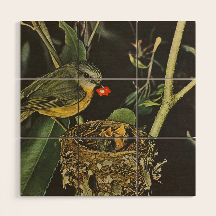 Birdie likes Wood Wall Art Gallery Image 1