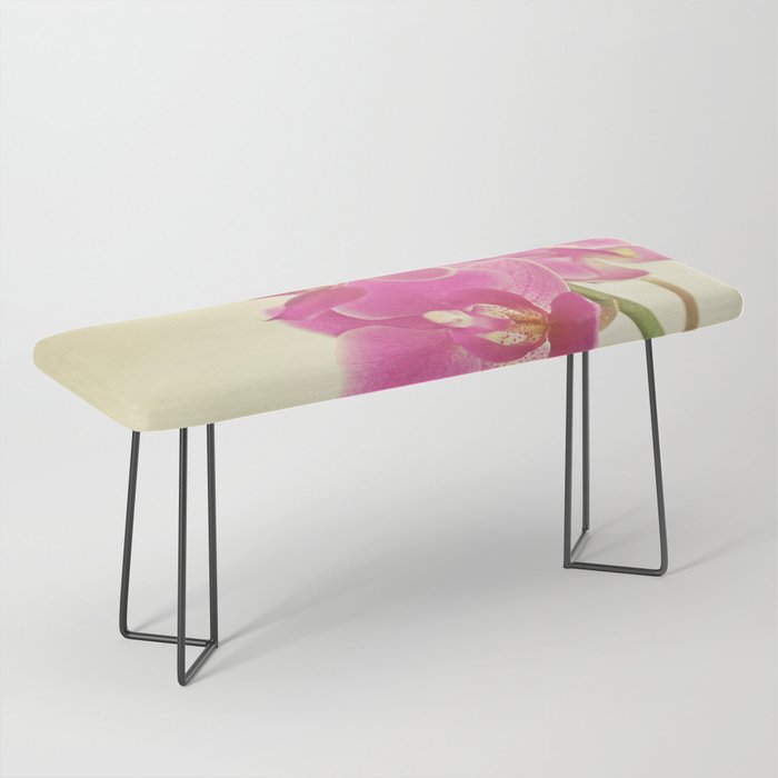 Pink Orchid Bench Gallery Image 1