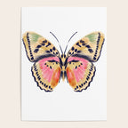 Butterfly Study no. 14 - butterfly art, watercolor butterfly, watercolor butterflies, painted butterfly, butterfly art, pink and yellow butterfly Poster Gallery Image 4