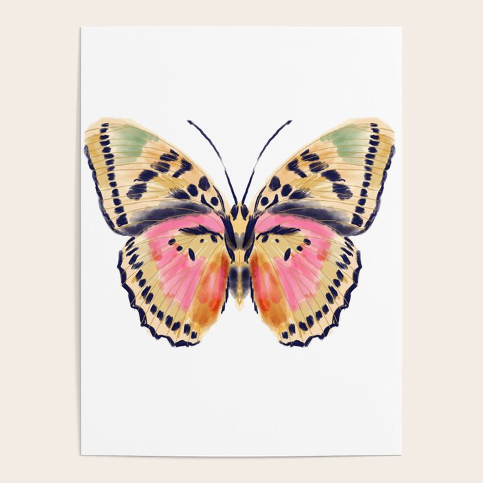Butterfly Study no. 14 - butterfly art, watercolor butterfly, watercolor butterflies, painted butterfly, butterfly art, pink and yellow butterfly Poster Gallery Image 4
