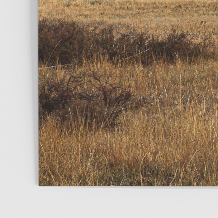 Mountain Valley Morning Light Poster Gallery Image 3