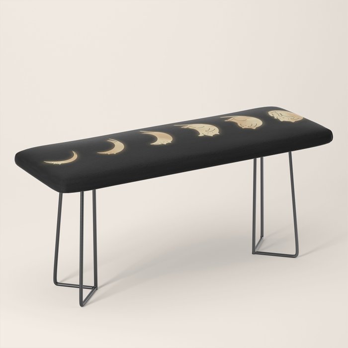 Cat Landscape 57: Phases of the Meow Bench Gallery Image 1