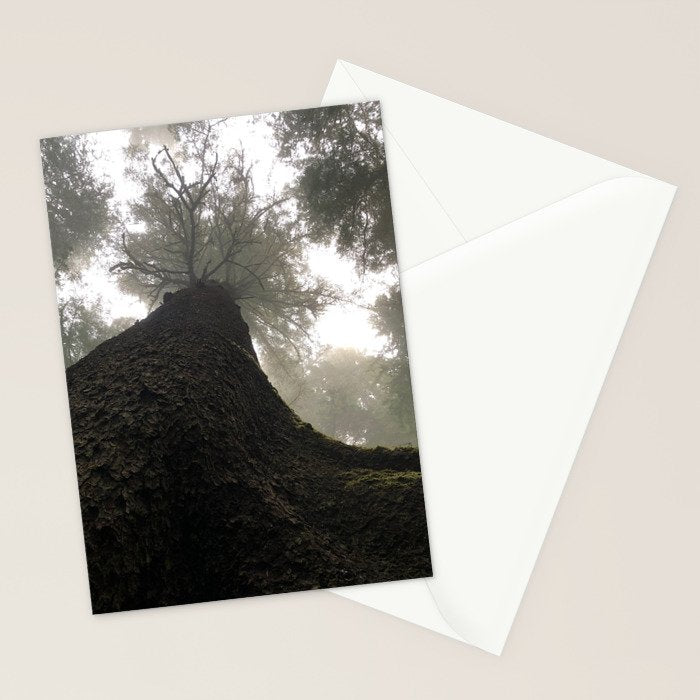 Perspective Stationery Card Gallery Image 2