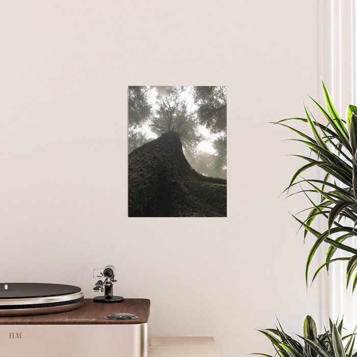 Perspective Poster Gallery Image 2