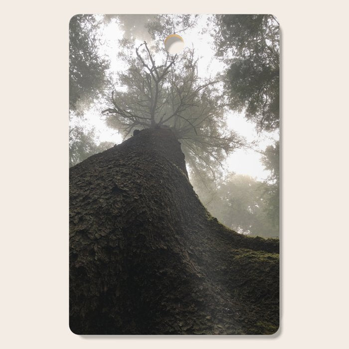 Perspective Cutting Board Gallery Image 1