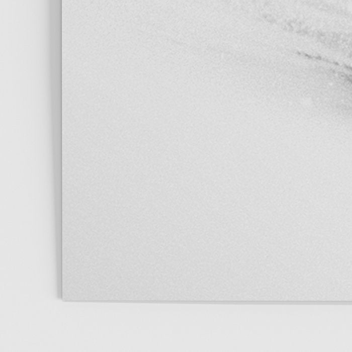 Ski Powder // Black and White Snowy Colorado Backcountry Skiing Whiteout Snowing Poster Gallery Image 3