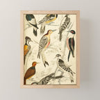 Woodpeckers from The Edinburgh Journal, 1835 (benefitting The Nature Conservancy) Mini Art Print Gallery Image 1