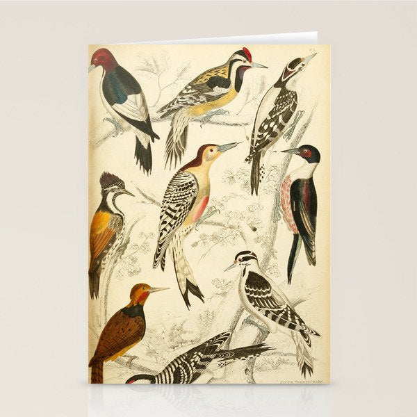 Woodpeckers from The Edinburgh Journal, 1835 (benefitting The Nature Conservancy) Stationery Card Gallery Image 1