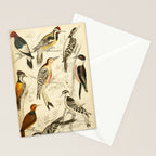 Woodpeckers from The Edinburgh Journal, 1835 (benefitting The Nature Conservancy) Stationery Card Gallery Image 2