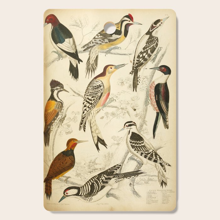 Woodpeckers from The Edinburgh Journal, 1835 (benefitting The Nature Conservancy) Cutting Board Gallery Image 1
