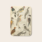 Woodpeckers from The Edinburgh Journal, 1835 (benefitting The Nature Conservancy) Bath Mat Gallery Image 1