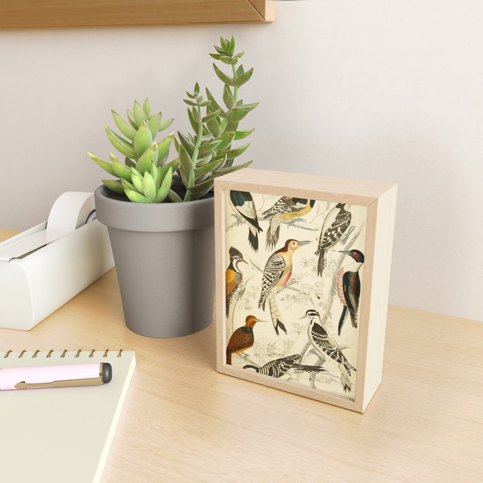 Woodpeckers from The Edinburgh Journal, 1835 (benefitting The Nature Conservancy) Mini Art Print Gallery Image 2