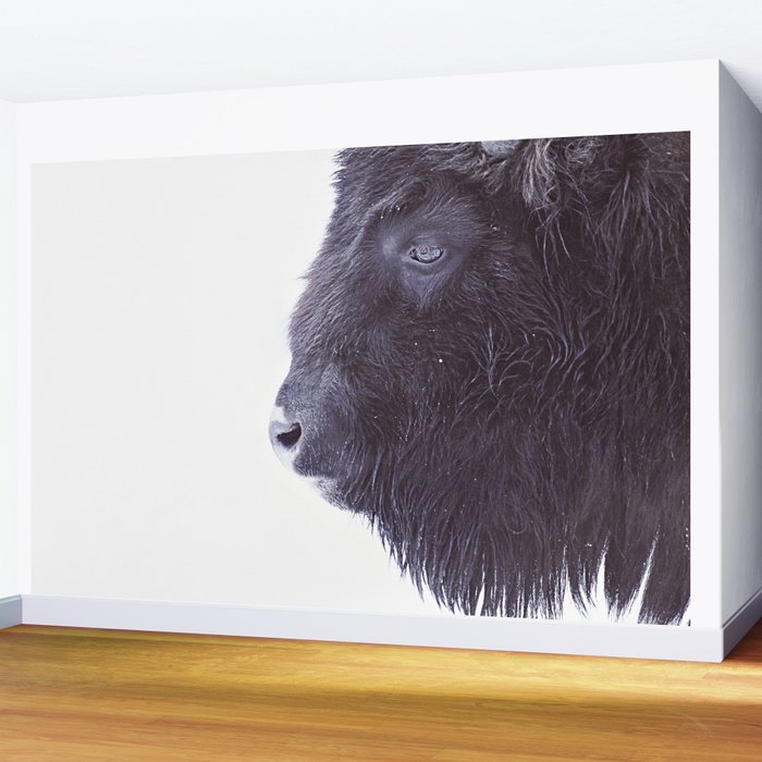 BLACK BUFFALO Wall Mural Gallery Image 2