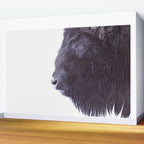 BLACK BUFFALO Wall Mural Gallery Image 2