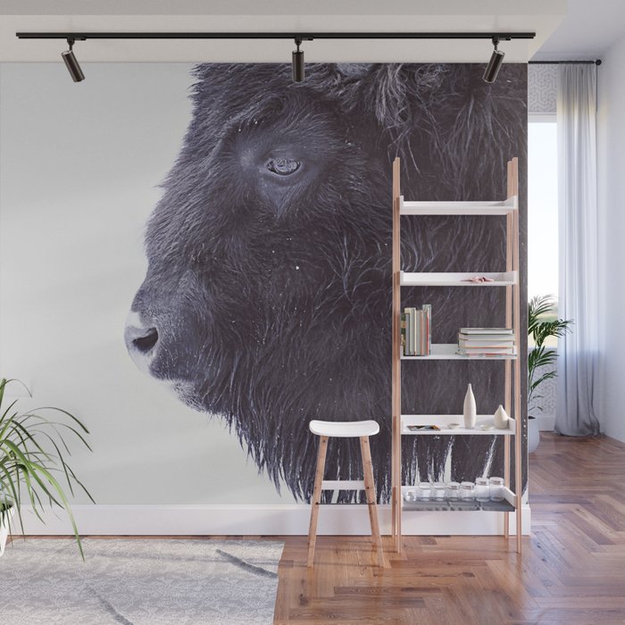 BLACK BUFFALO Wall Mural Gallery Image 1