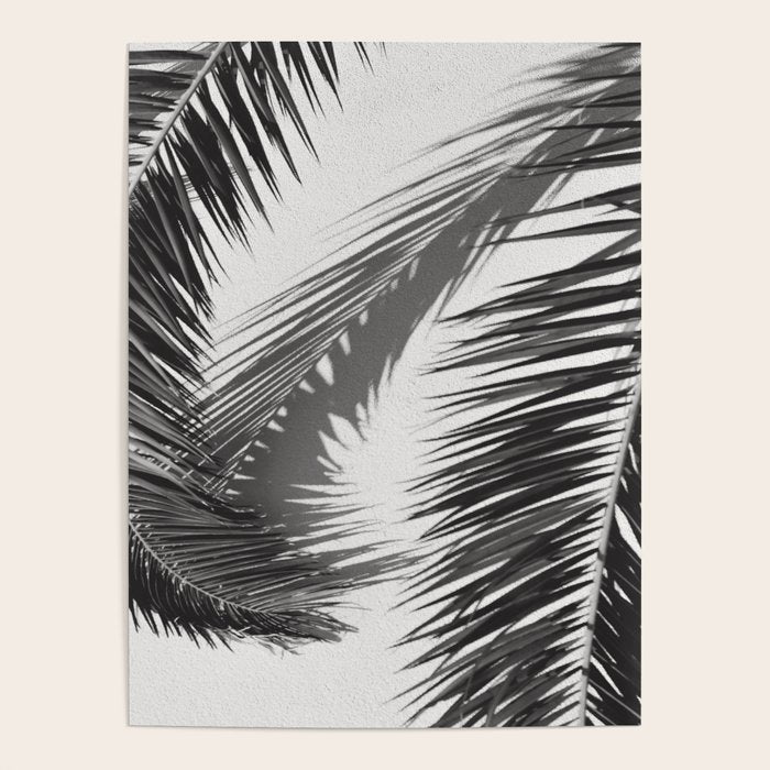 Tropical Palms Shadow Black And White Photography - Summer Photo Art Print -  Film Nature Holiday Paradise Photograph - Photographs Poster Gallery Image 1