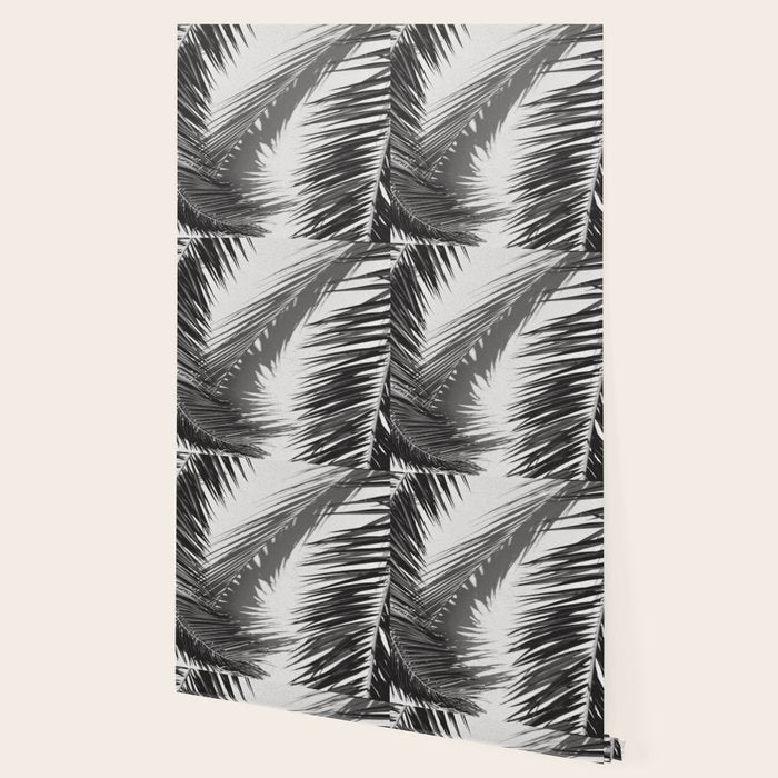 Tropical Palms Shadow Black And White Photography - Summer Photo Art Print -  Film Nature Holiday Paradise Photograph - Photographs Wallpaper Gallery Image 2