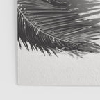 Tropical Palms Shadow Black And White Photography - Summer Photo Art Print -  Film Nature Holiday Paradise Photograph - Photographs Poster Gallery Image 3