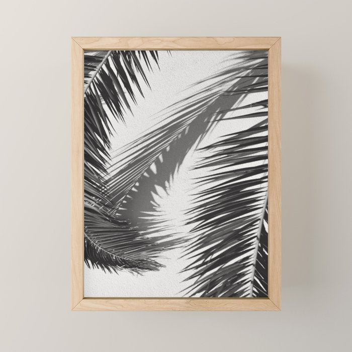 Tropical Palms Shadow Black And White Photography - Summer Photo Art Print -  Film Nature Holiday Paradise Photograph - Photographs Mini Art Print Gallery Image 1