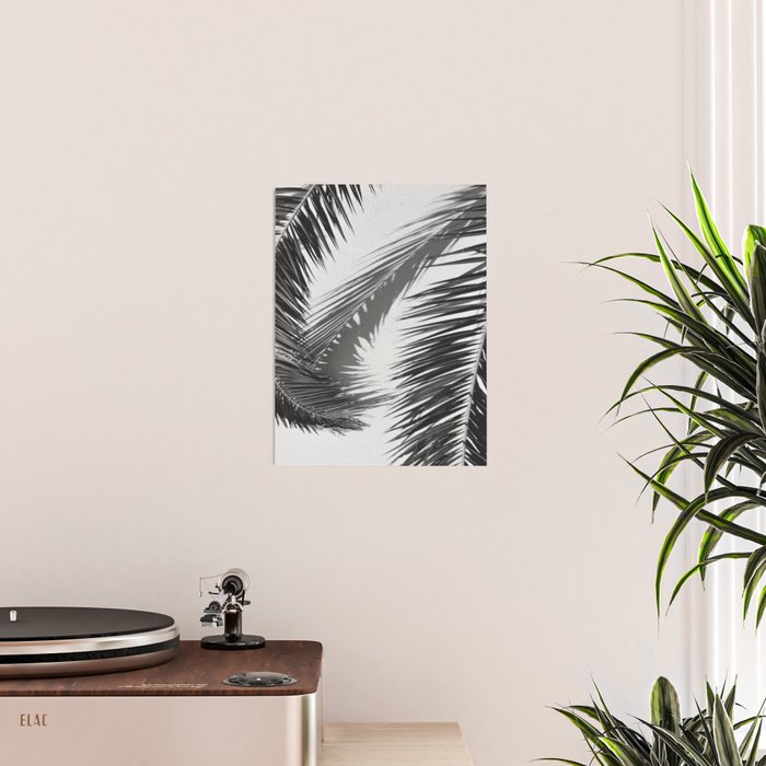 Tropical Palms Shadow Black And White Photography - Summer Photo Art Print -  Film Nature Holiday Paradise Photograph - Photographs Poster Gallery Image 2