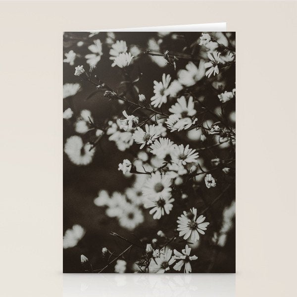 Evening Daisies x flower photograph black and white botanical Stationery Card Gallery Image 1