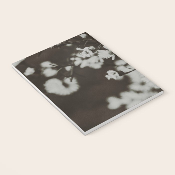 Evening Daisies x flower photograph black and white botanical Notebook Gallery Image 3