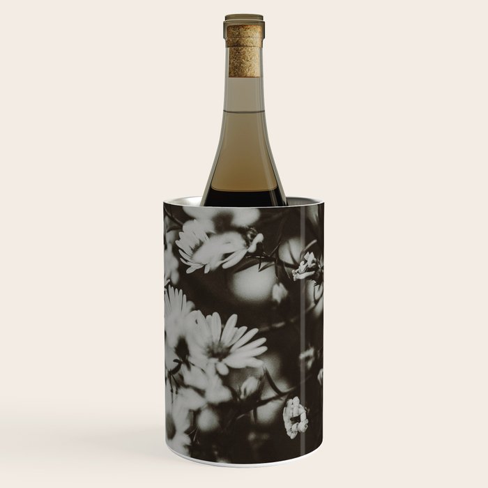 Evening Daisies x flower photograph black and white botanical Wine Chiller Gallery Image 3